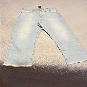 Torrid Light Blue Ankle & Cropped Jeans